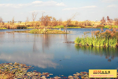 绿水湾国家城市湿地公园景点照片