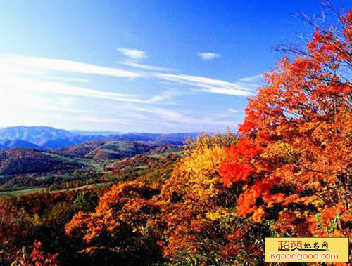 栖霞区栖霞山栖霞山