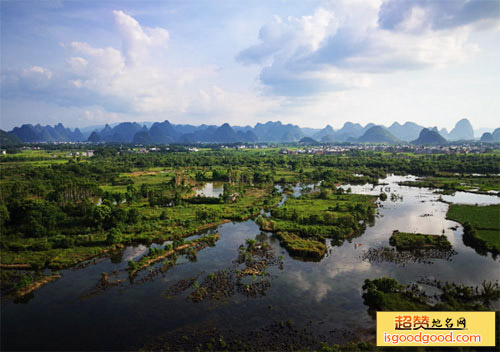 会仙湿地景点照片