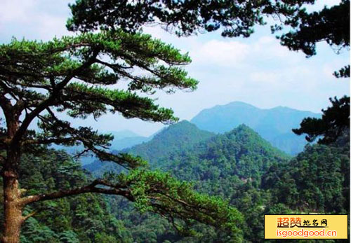 九重山国家森林公园景点照片