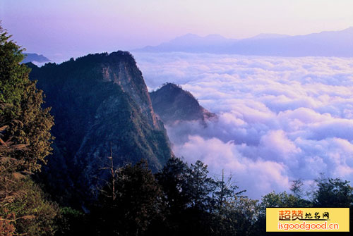 阿里山风景区景点照片