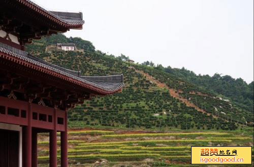 应天寺景点照片