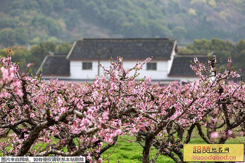 阳山桃花源景区景点照片