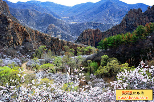 根德营子附近景点努鲁尔虎山自然保护区