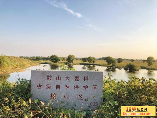 大麦科湿地自然保护区景点照片