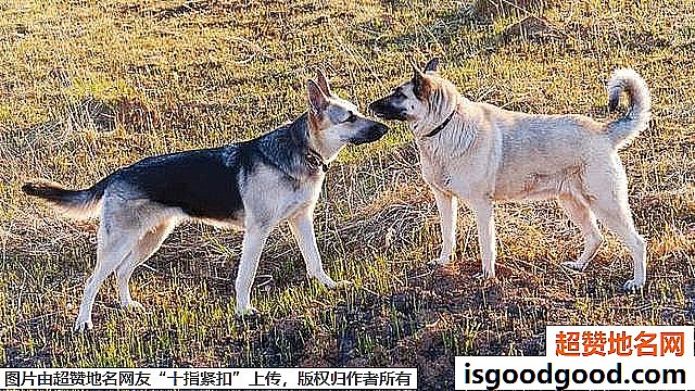 《去蒙古游玩必须了解的“禁忌”习俗》原文配图3