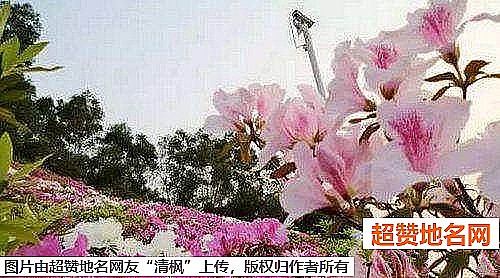 《广州十大最适合情侣约会的地方》原文配图8