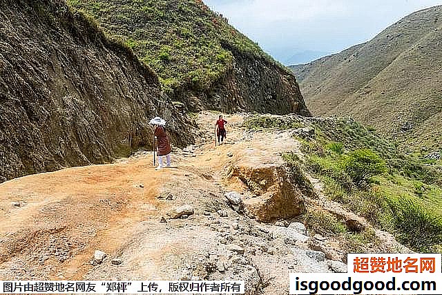 《广东开平天露山杜鹃花即将盛开》原文配图7