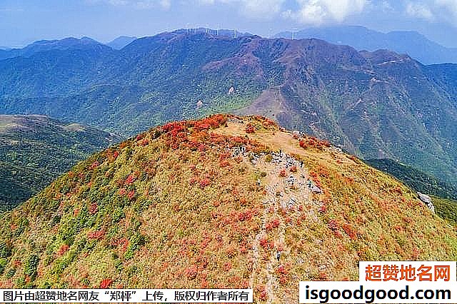 《广东开平天露山杜鹃花即将盛开》原文配图3