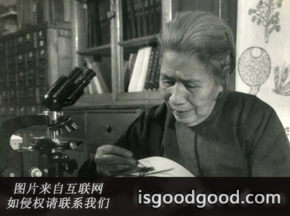 周贞英人物照片