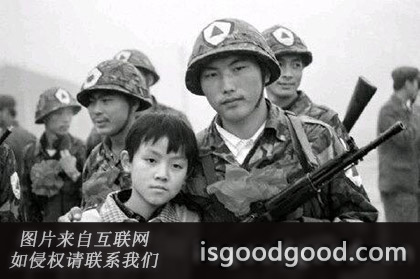 顾金海人物照片