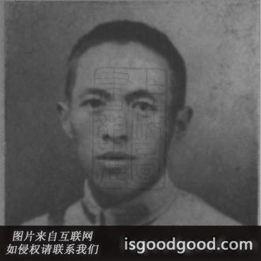 向凤武人物照片