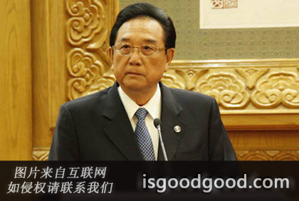 陈云林人物照片