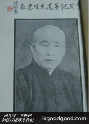 沈梦莲人物照片