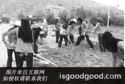 马辅臣人物照片