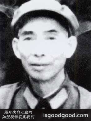 张江霖人物照片