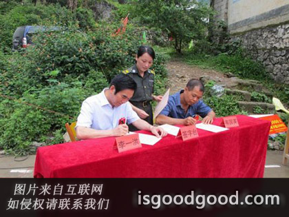 韦国英人物照片