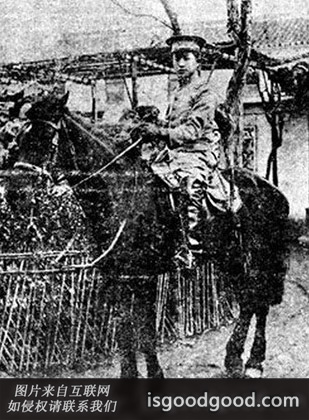 姚雨平人物照片