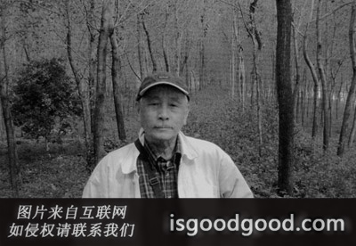 詹鸿昌人物照片