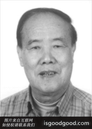 王杏元人物照片