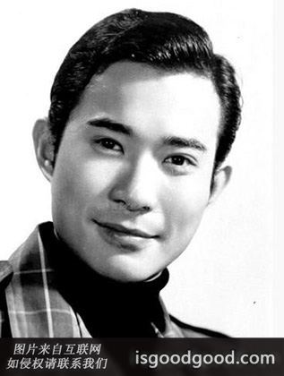 江明衿人物照片