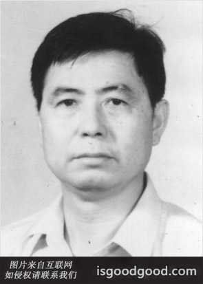 殷小英人物照片