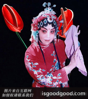 王素君人物照片