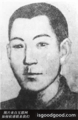 陶净非人物照片