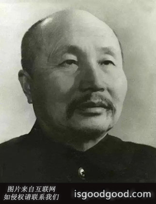 车向忱人物照片