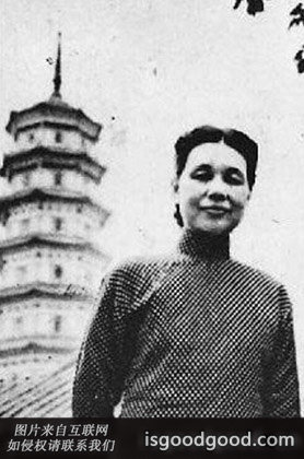 韩权华人物照片