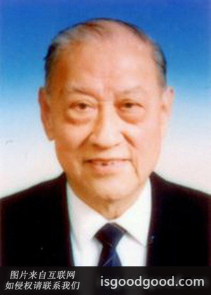 蒋达宁人物照片