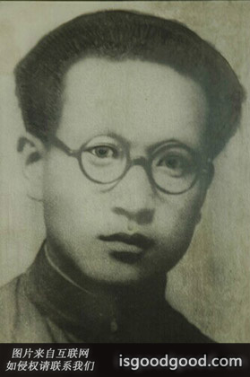 张漫萍人物照片