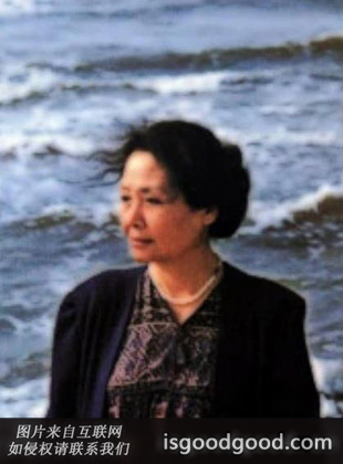 邵晶坤人物照片