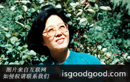 王迎春人物照片