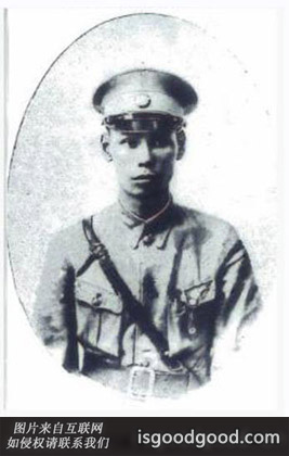 严凤仪人物照片