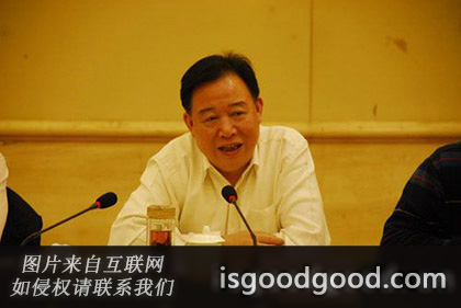 阳宝华人物照片