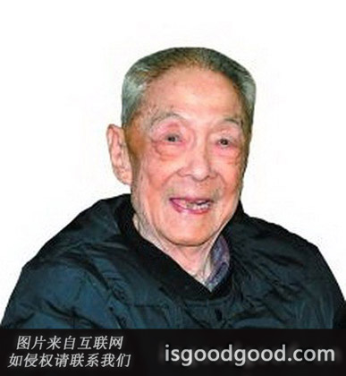 陈越平人物照片