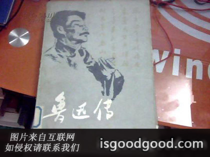 林志浩人物照片