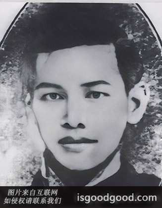 杜凤书人物照片