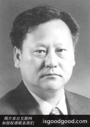 金虎雄人物照片