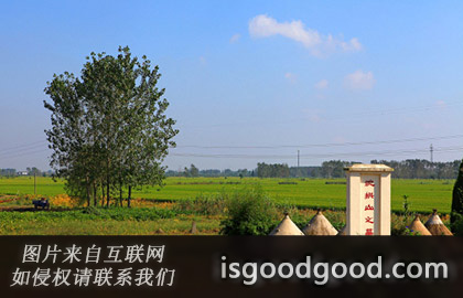 沈拱山人物照片