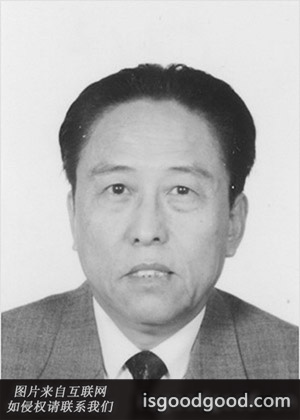 徐俊西人物照片