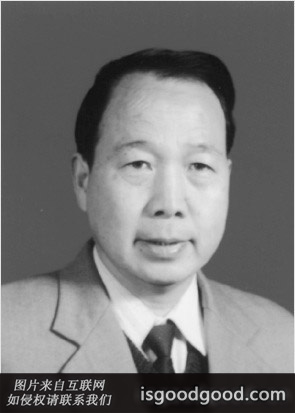 吴家荣人物照片