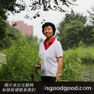 吴小美人物照片