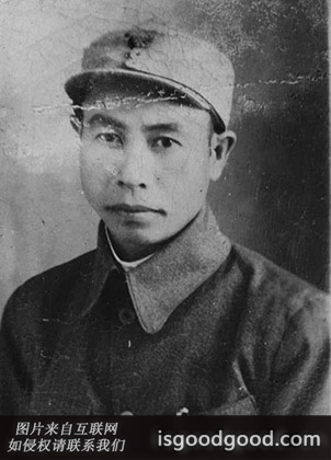 刘护平人物照片