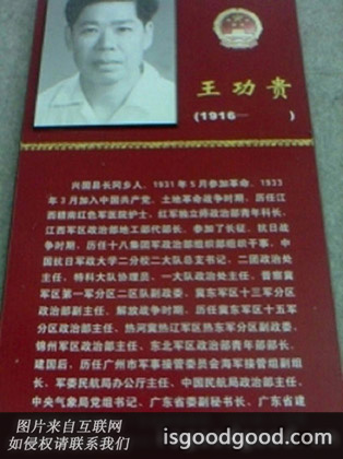 王功贵人物照片