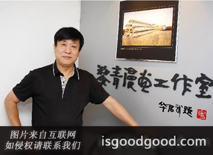 陈黎青人物照片