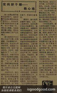 杨心培人物照片