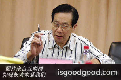 田中禾人物照片