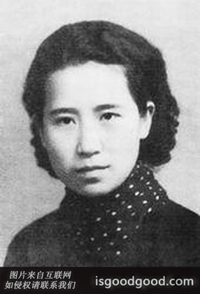 赵清阁人物照片